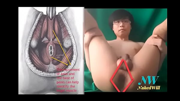 Nakedwill Nude Demo Kegel Exercise For ED Incontinence And Better Sex